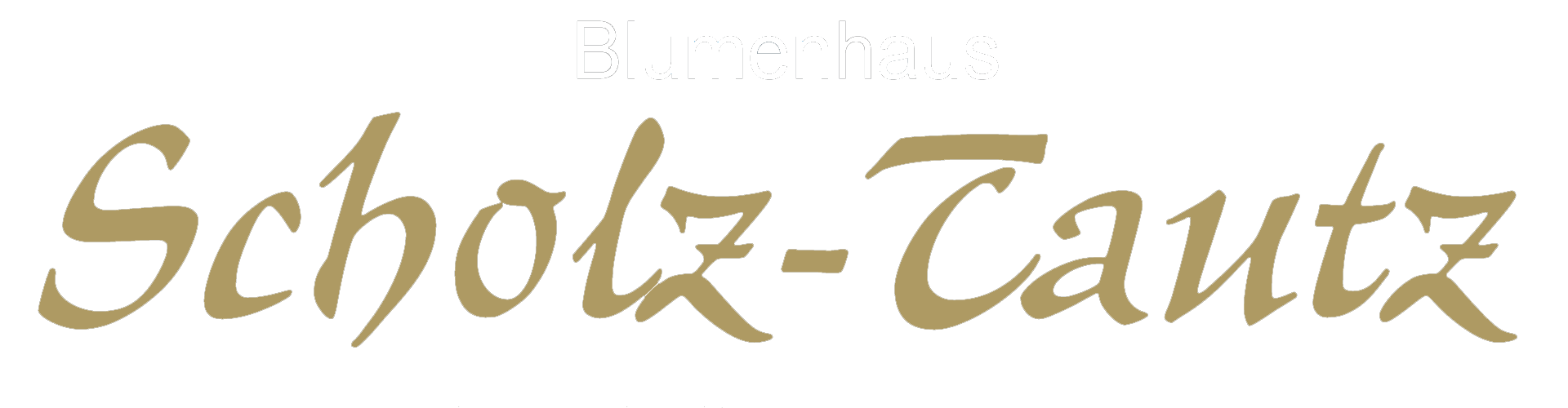 Scholz Tautz transparent